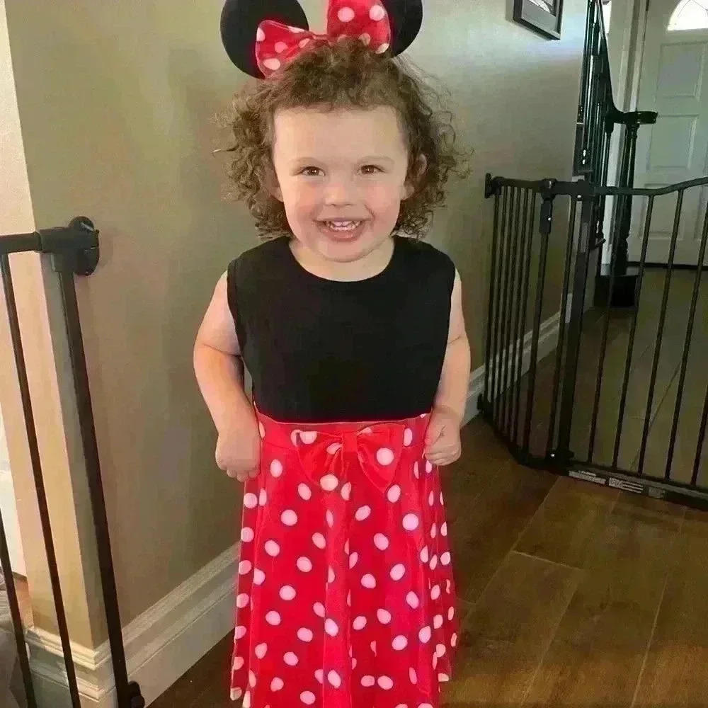 NWT Minnie Mouse Milk Silk Dress Custom Made - Picture 4 of 4